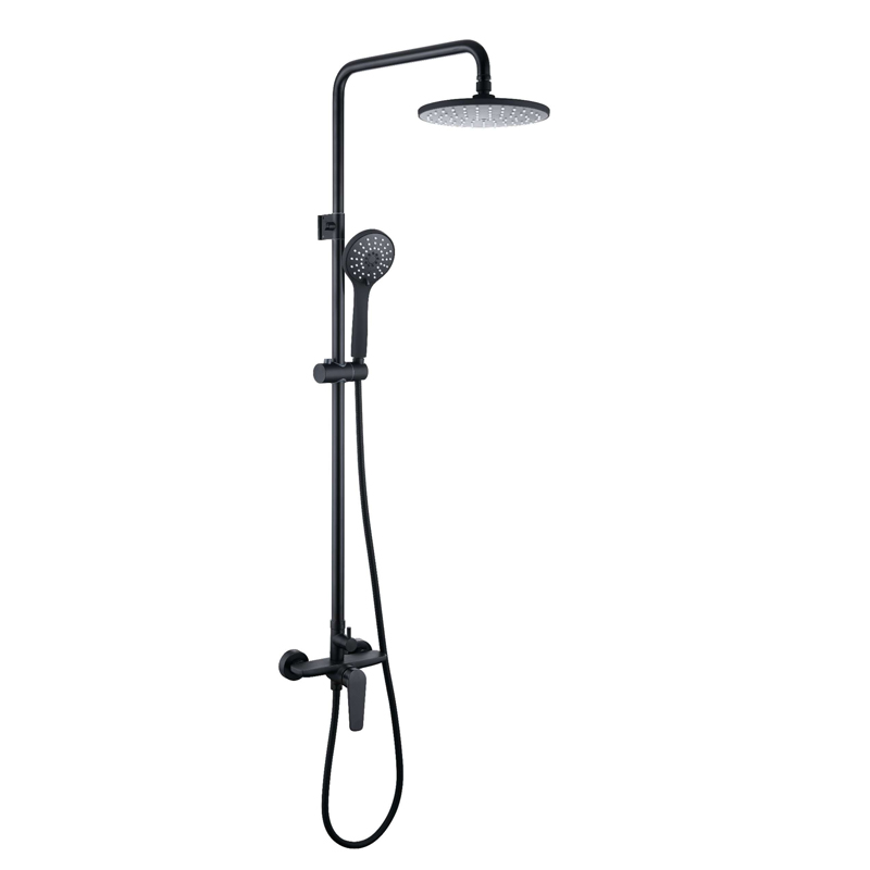 rain shower head with handheld shower